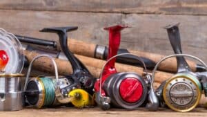 Best Spinning Reels Under $100