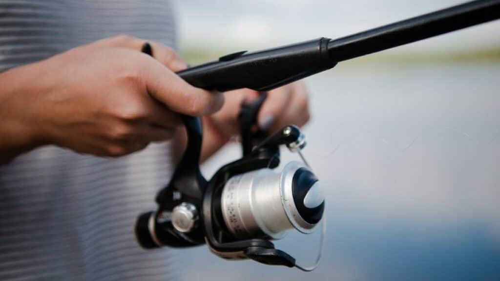 Best Trout Spinning Reels