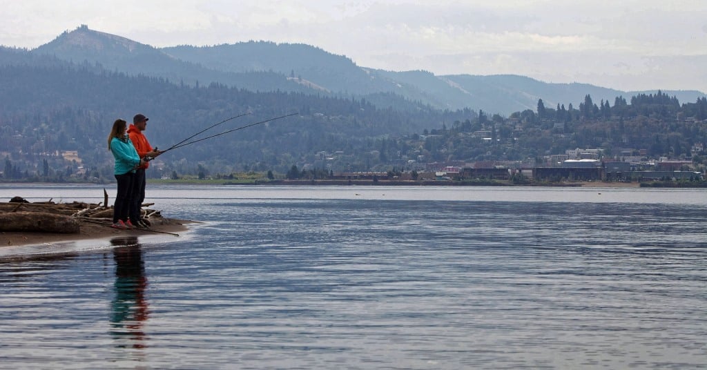 Fishing Around Weed Beds