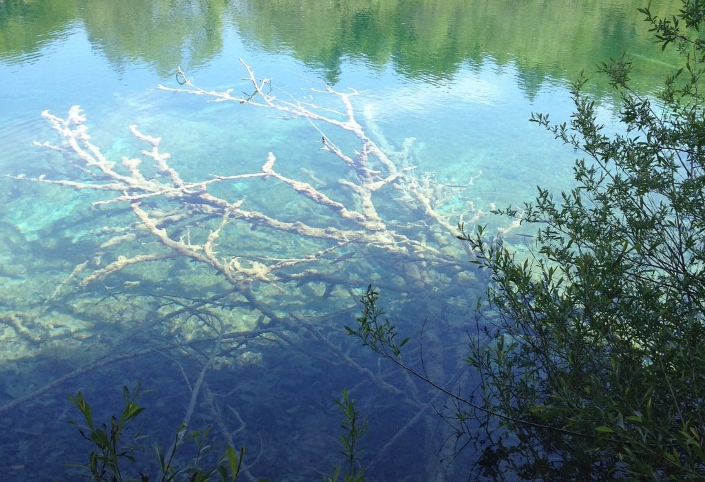 Lake Fishing Sunken Structures