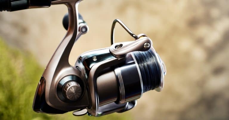 Best Spinning Reels For Under $100 Baitcasting Reels Best 100 Dollar Spinning Reel Best Saltwater Best Spinning Reels For Under $100 Baitcasting Reels Best 100 Dollar Spinning Reel Best Saltwater